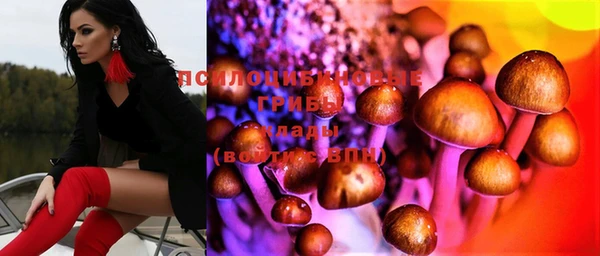 герыч Алексин