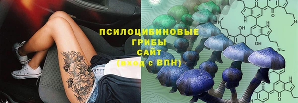 герыч Алексин