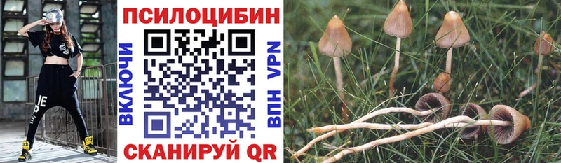 кракен   Аргун  Галлюциногенные грибы мицелий 