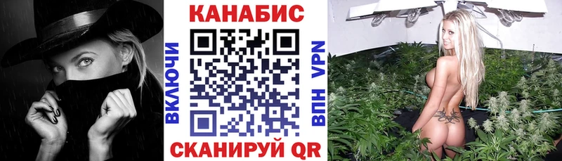 мега зеркало  Аргун  Бошки марихуана сатива 